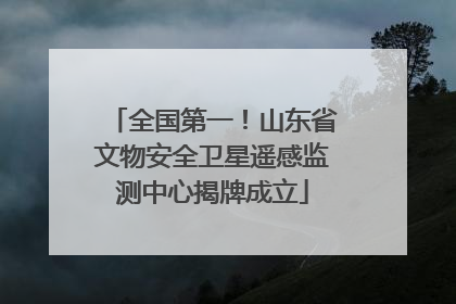 全国第一！山东省文物安全卫星遥感监测中心揭牌成立